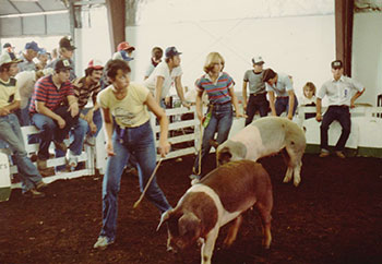 Showing hogs at the county fair as a teenager.